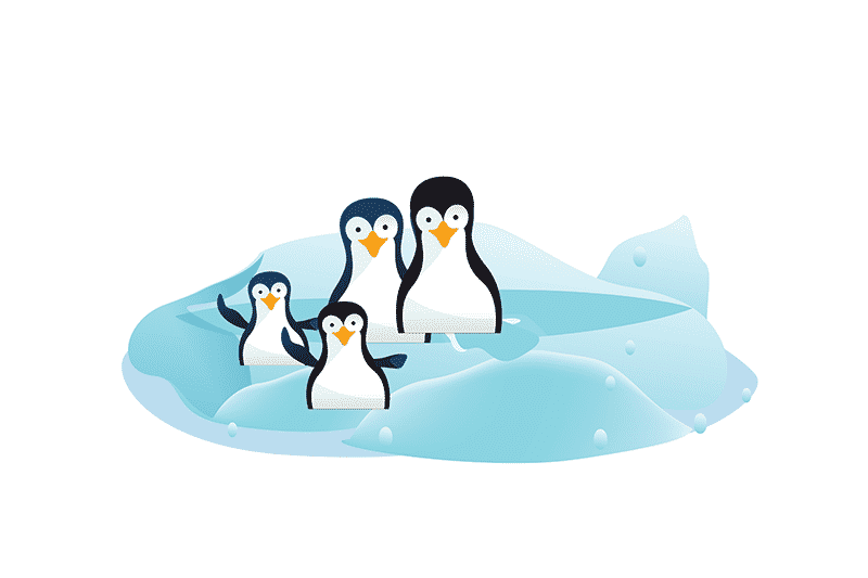 algorithme-google-pingouin2